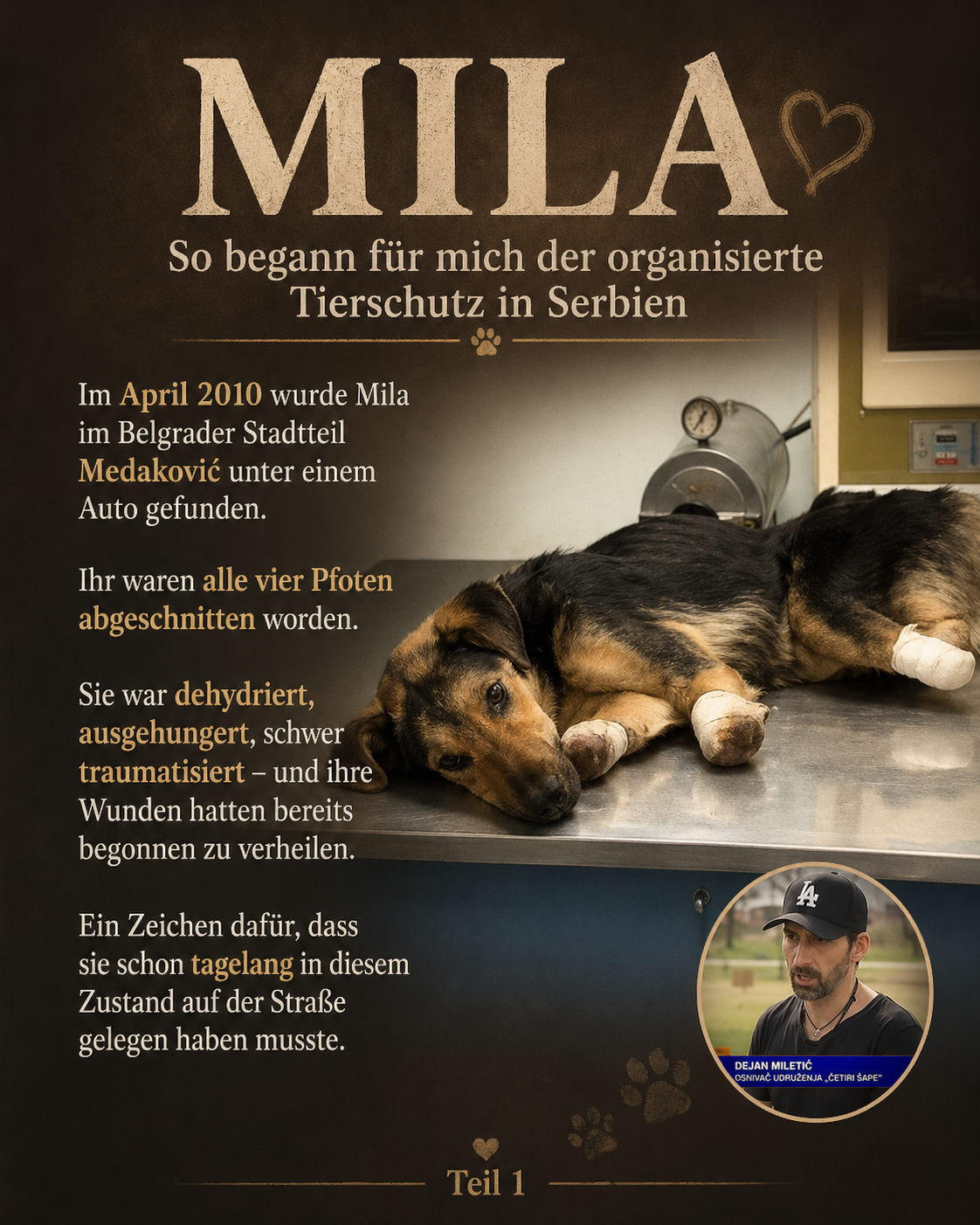 Mila – der Fall, der Serbien nicht vergessen lassen darf, wozu Menschen fähig sind